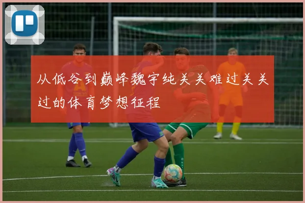 从低谷到巅峰魏宇纯关关难过关关过的体育梦想征程